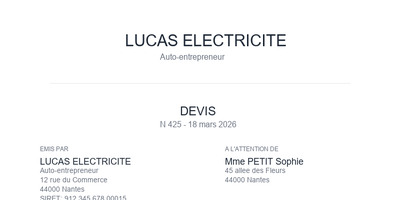 Devis electricite - Diagnostic panne